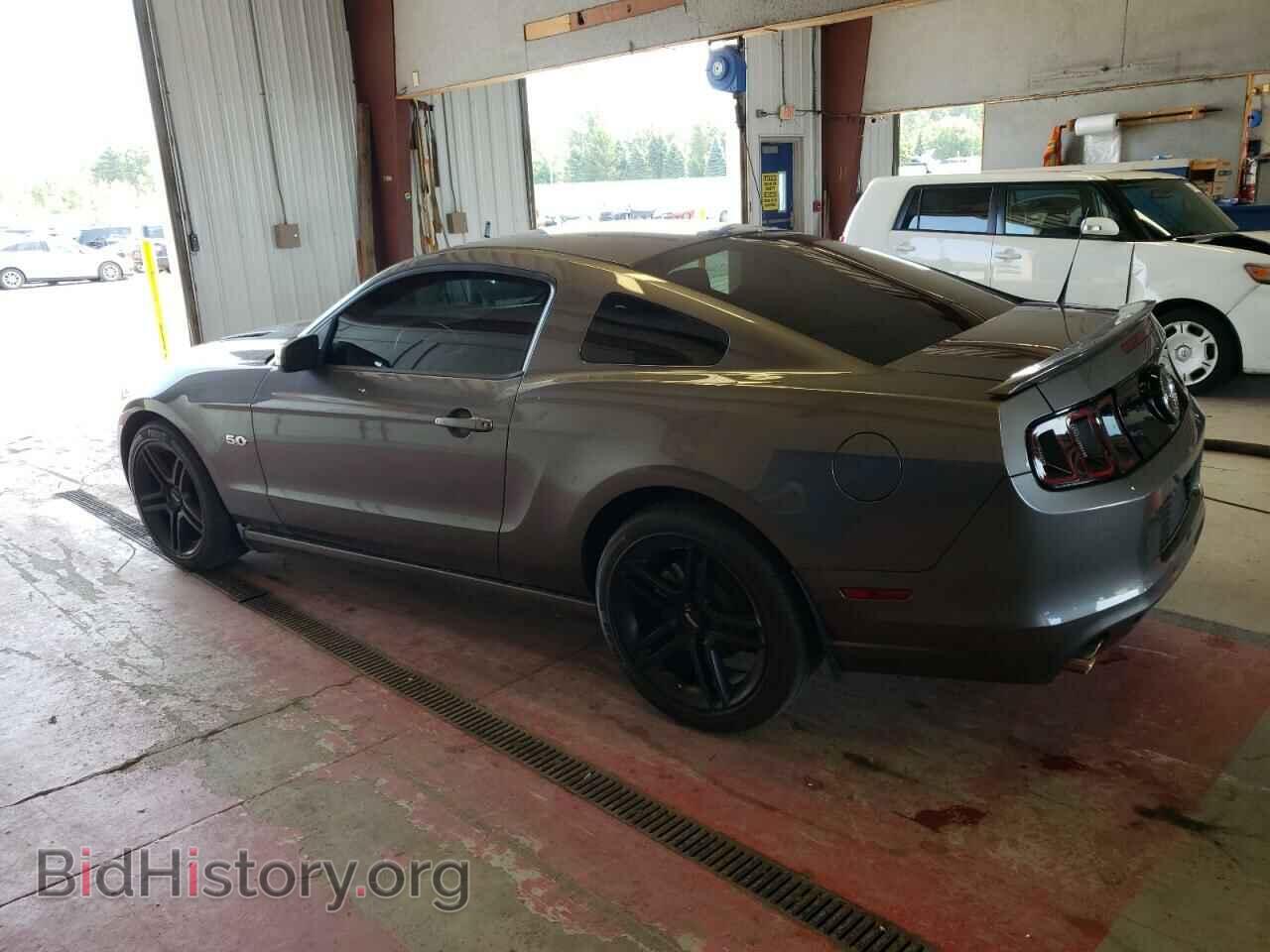 2013 FORD MUSTANG - VIN: 1ZVBP8CF6D5254434 - Фото 2