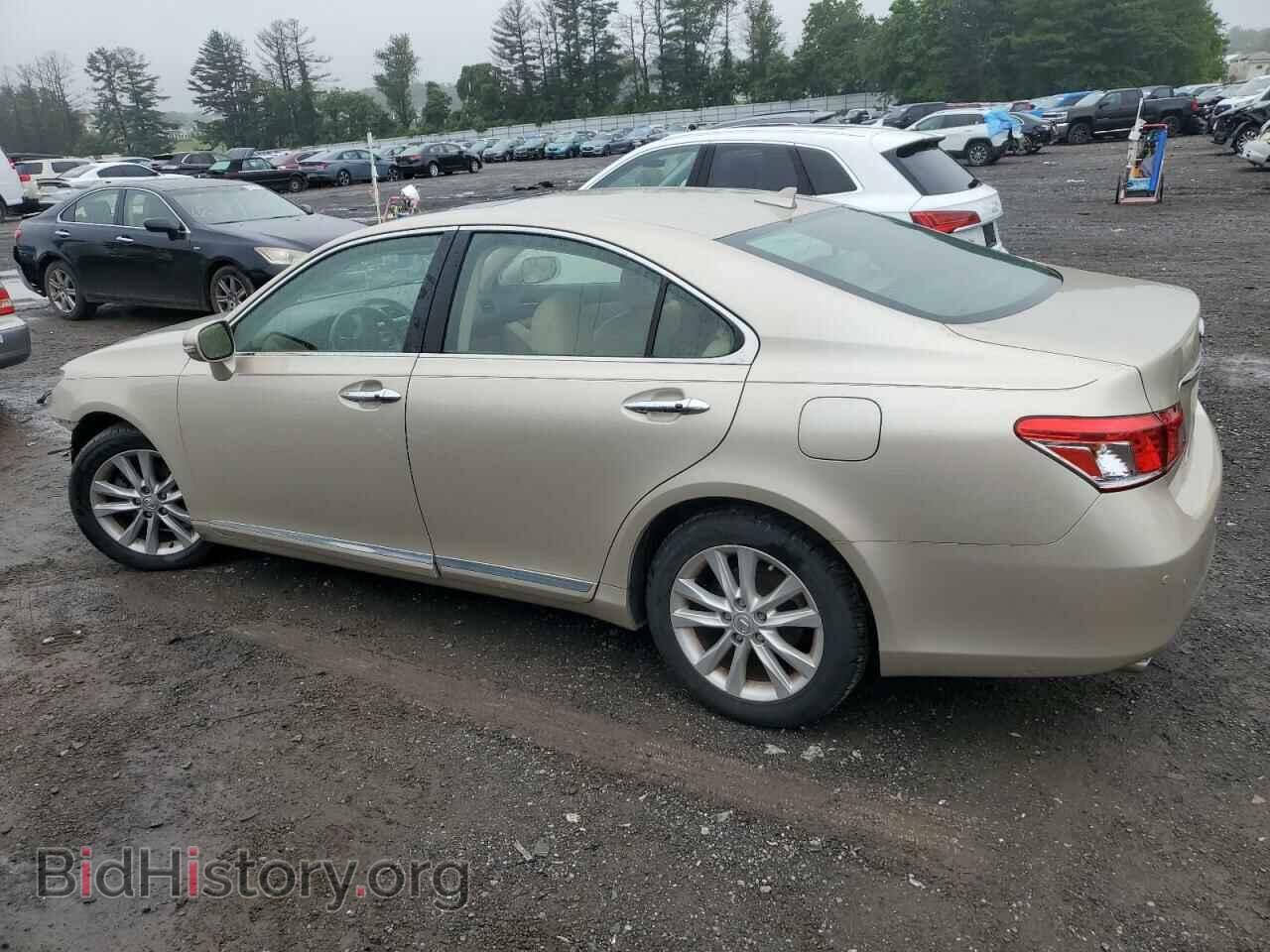 2011 LEXUS ES350 - VIN: JTHBK1EG6B2464348 - Фото 2