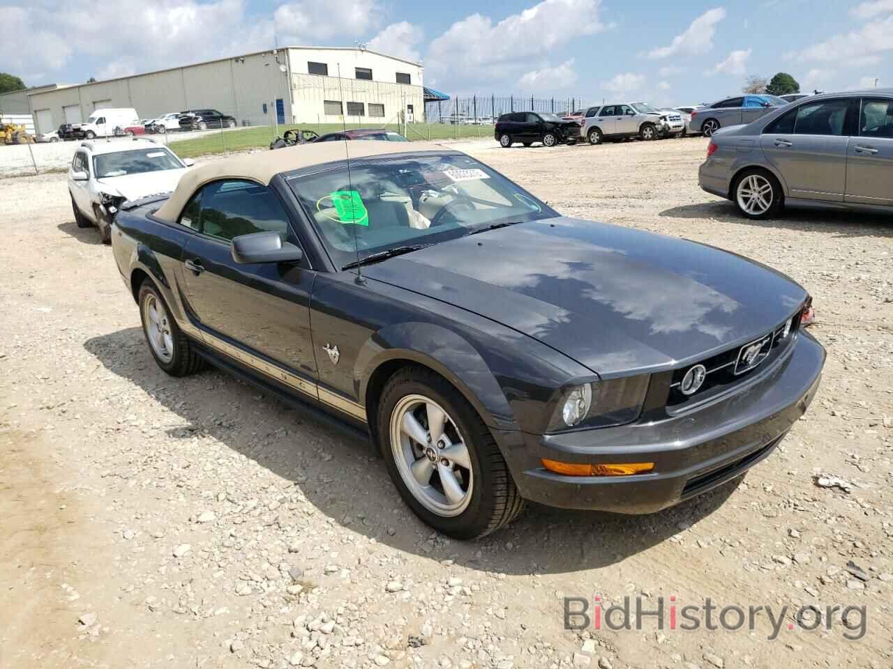 Photo 1ZVHT84N495130309 - FORD MUSTANG 2009