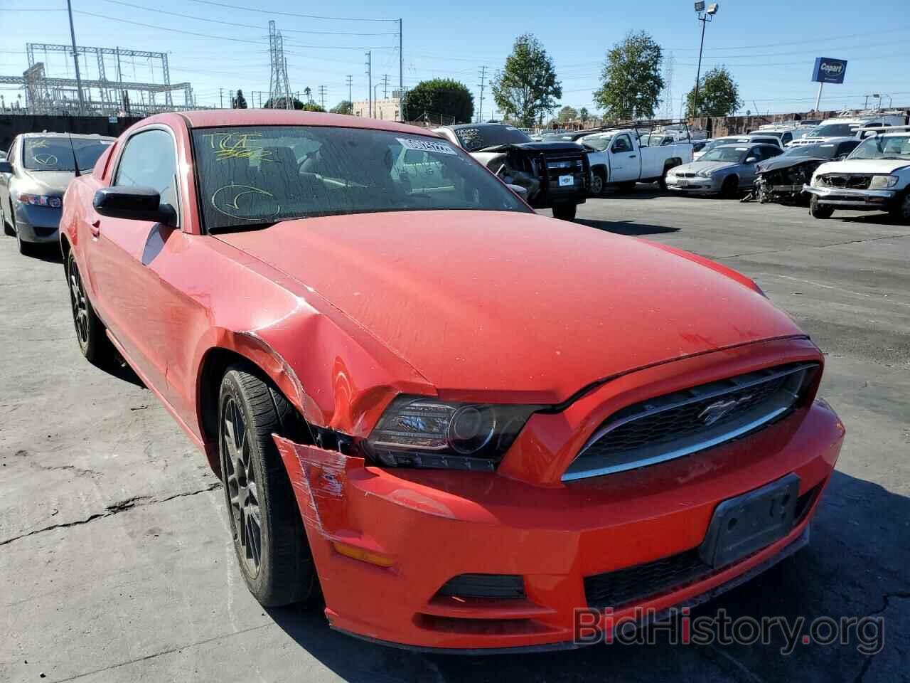Photo 1ZVBP8AM1E5306412 - FORD MUSTANG 2014