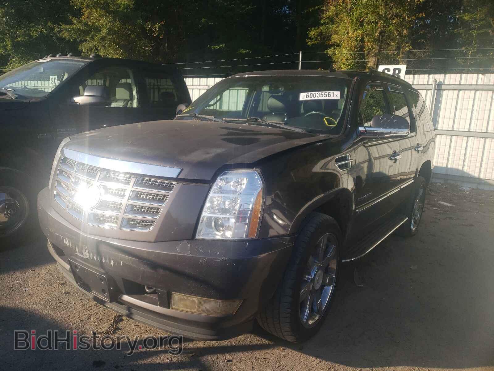 2011 CADILLAC ESCALADE - VIN: 1GYS4BEF7BR248129 - Фото 2