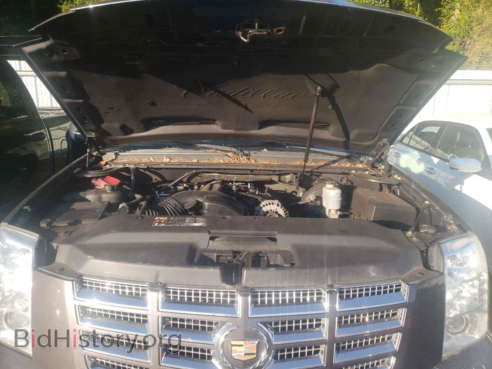 2011 CADILLAC ESCALADE - VIN: 1GYS4BEF7BR248129 - Фото 7