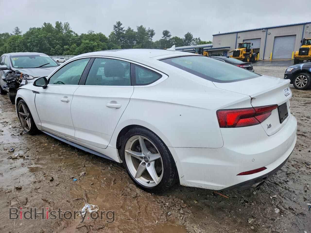 2019 AUDI A5 - VIN: WAUENCF59KA008586 - Фото 2