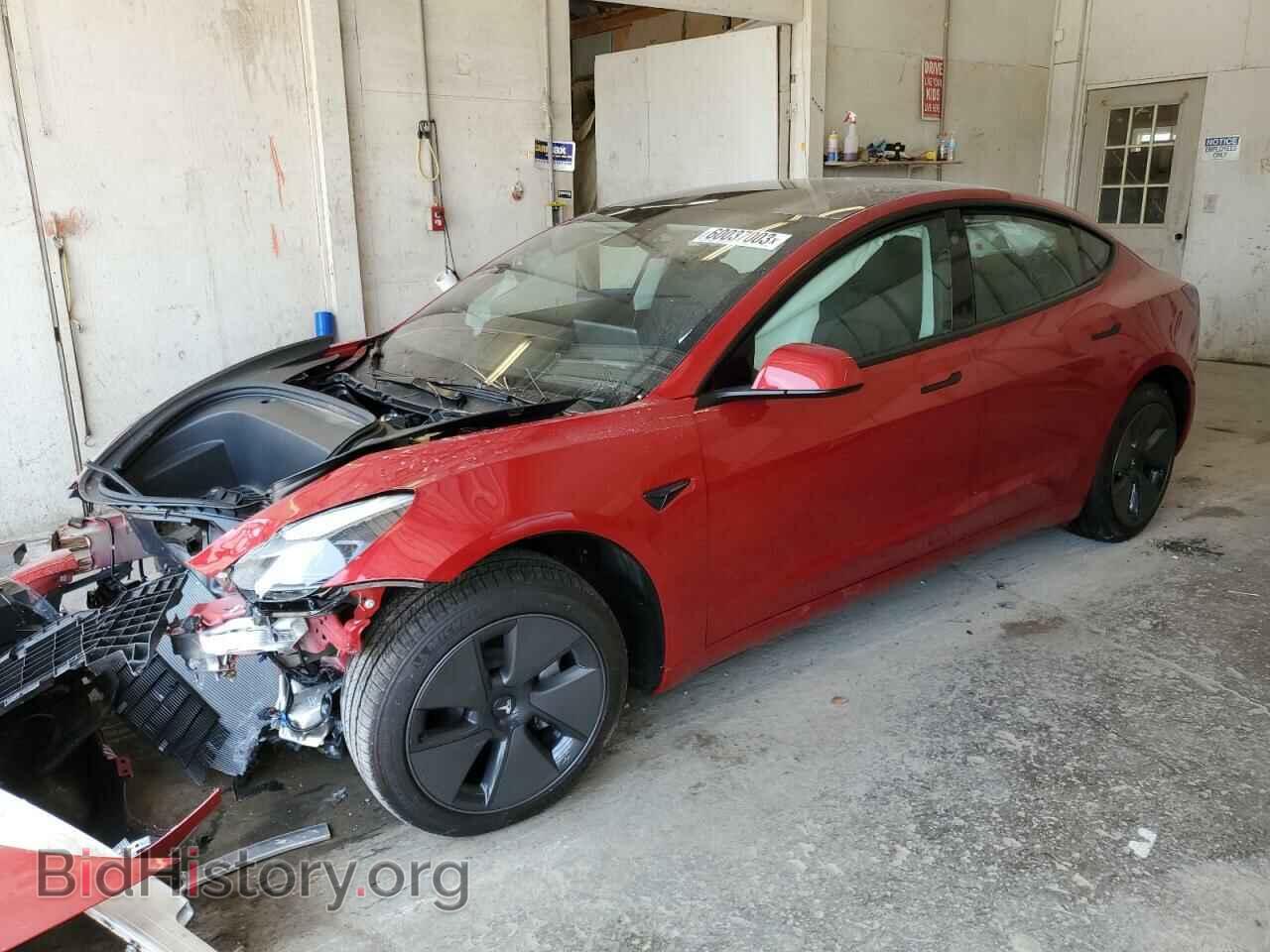 Фотография 5YJ3E1EA1PF564466 - TESLA MODEL 3 2023