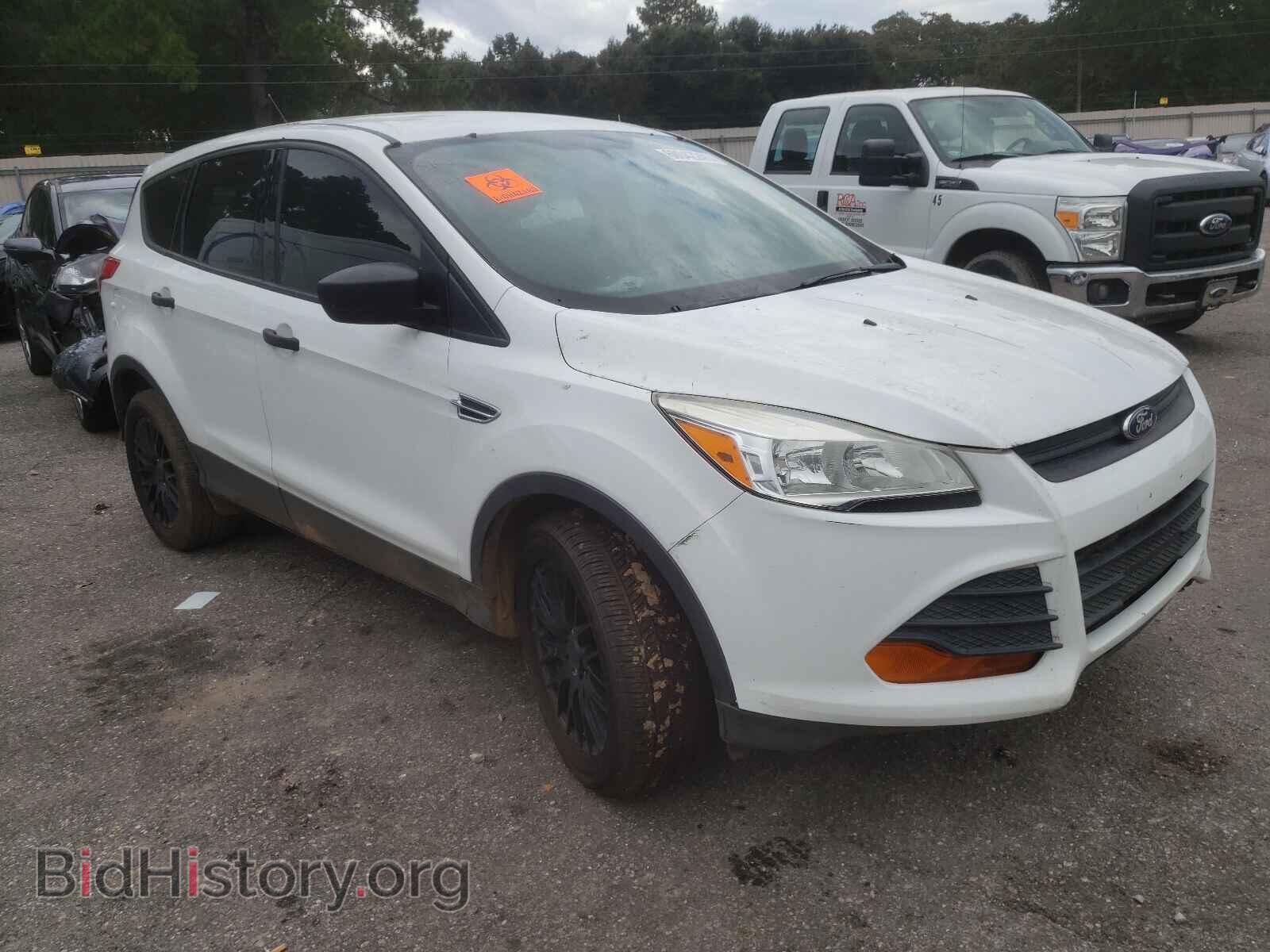 Photo 1FMCU0F75DUD87905 - FORD ESCAPE 2013