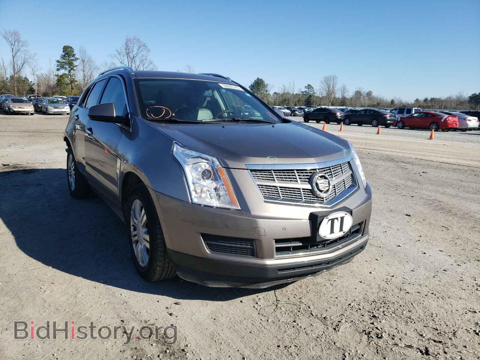 Photo 3GYFNAEY4BS576454 - CADILLAC SRX 2011