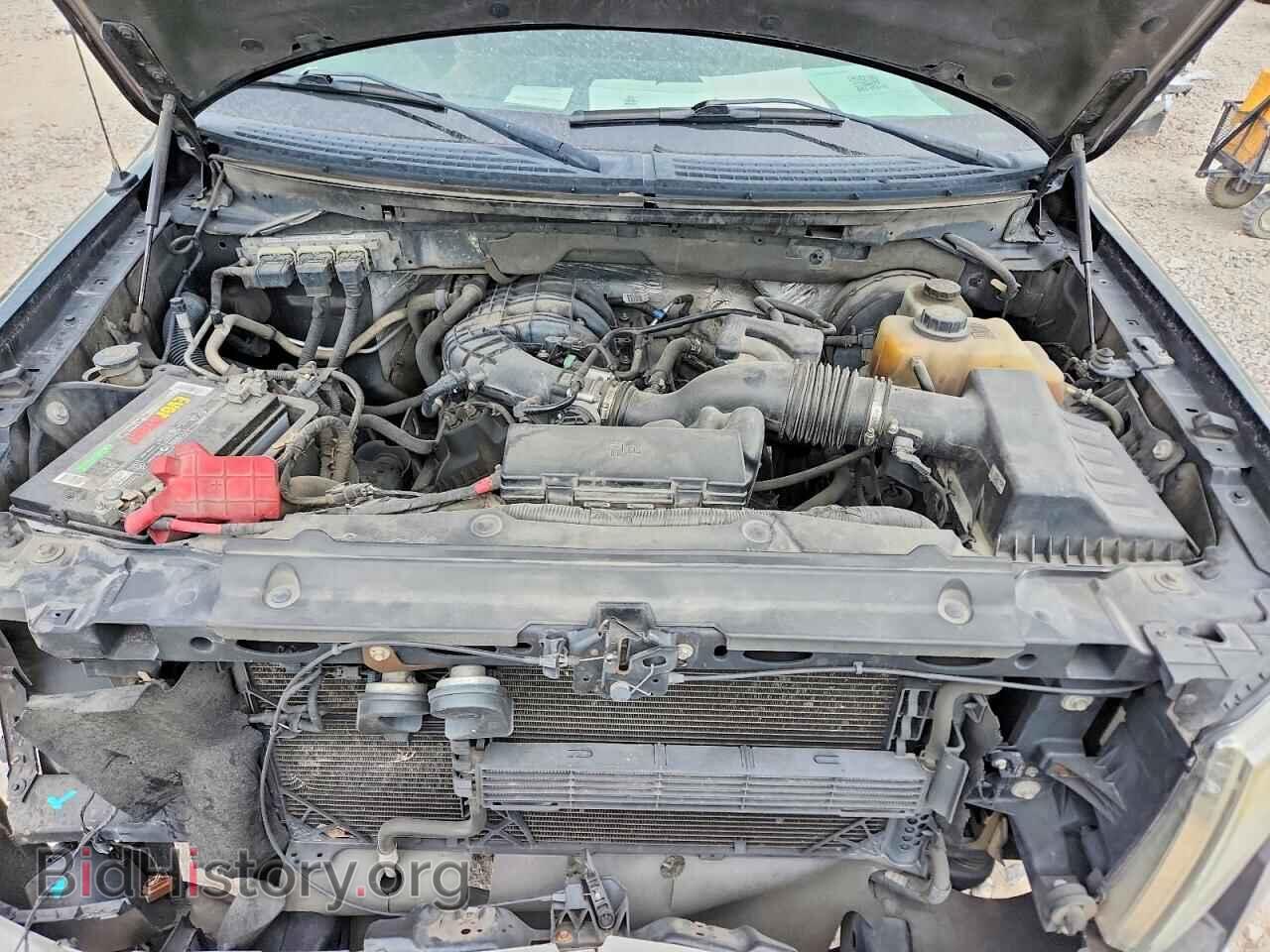 2013 FORD F150 - VIN: 1FTEW1CM7DFD40273 - Фото 11