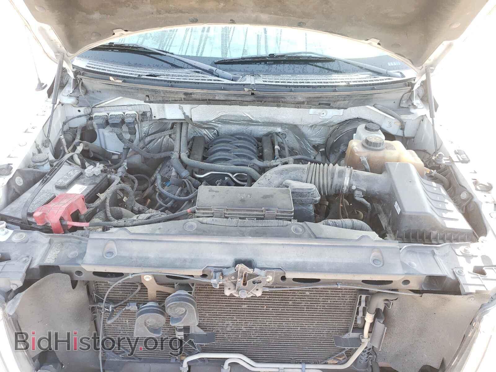 2013 FORD F150 - VIN: 1FTNF1CF2DKD92001 - Фото 7