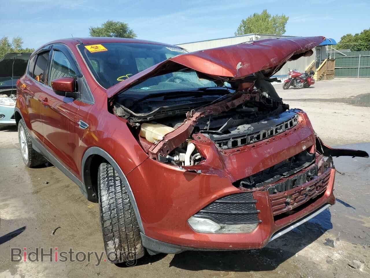 Фотография 1FMCU9G97EUC41351 - FORD ESCAPE 2014