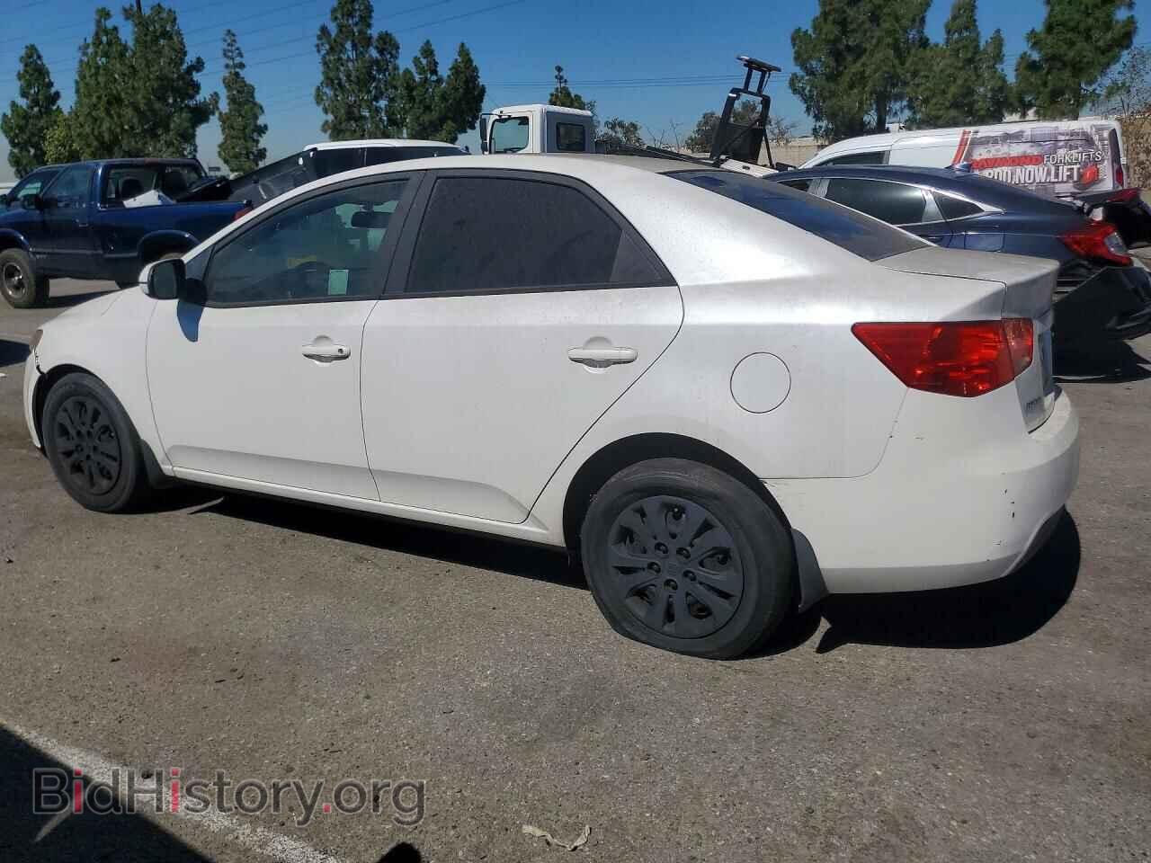2013 KIA FORTE - VIN: KNAFU4A26D5655226 - Фото 2