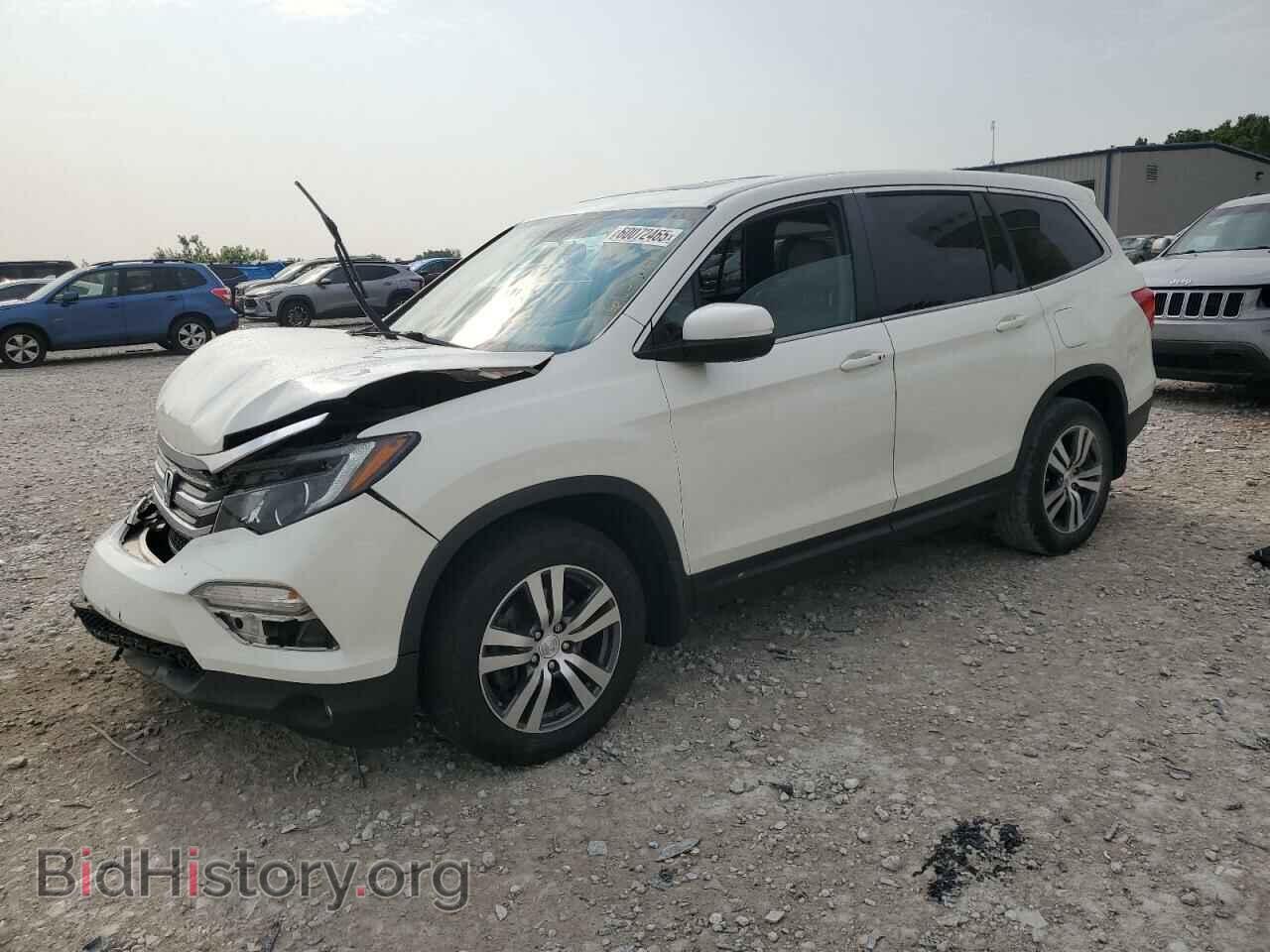 Фотография 5FNYF5H56JB014566 - HONDA PILOT 2018