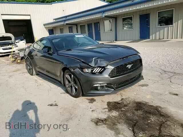 2016 FORD ALL Models - VIN: 1FA6P8TH1G5256060 - Фото 13