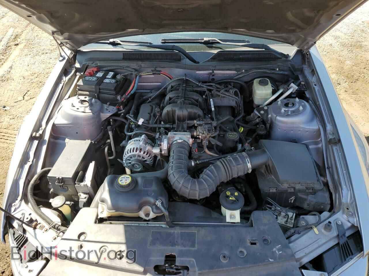 2006 FORD MUSTANG - VIN: 1ZVFT80N665186180 - Фото 7