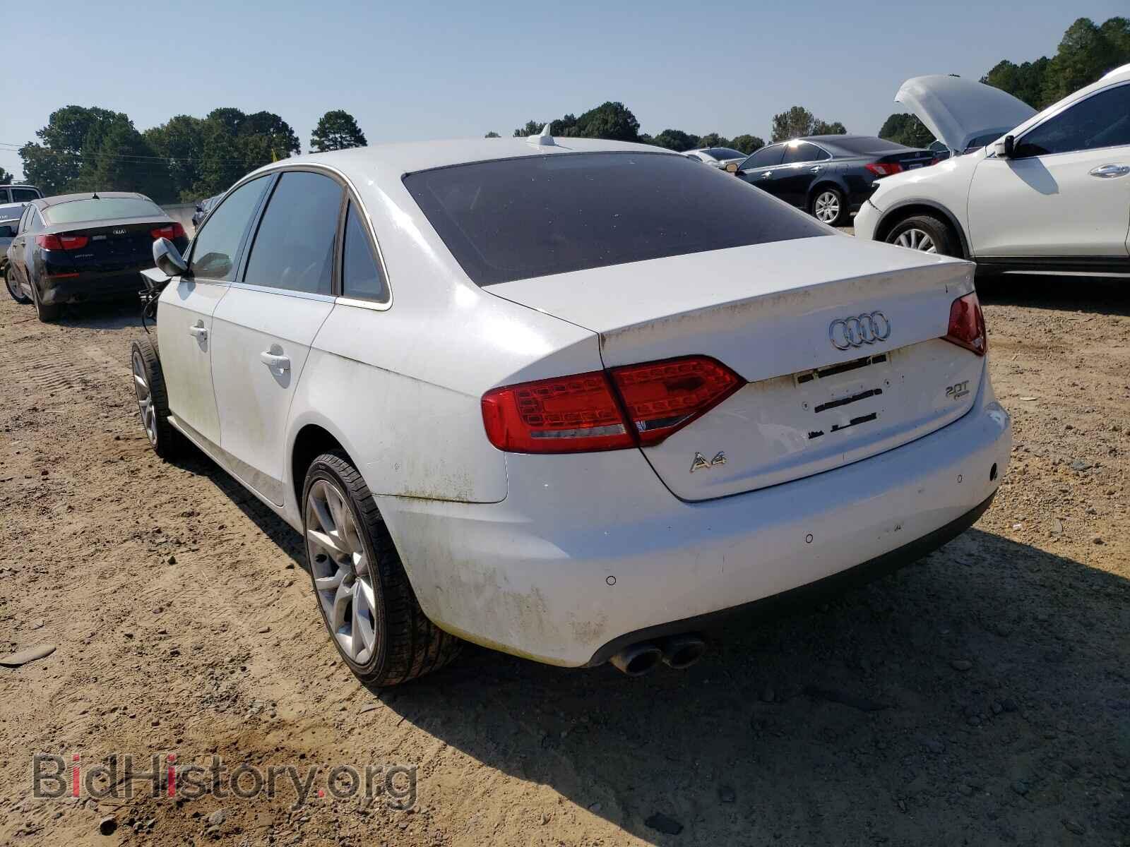 2011 AUDI A4 - VIN: WAUKFAFL0BN006561 - Фото 3