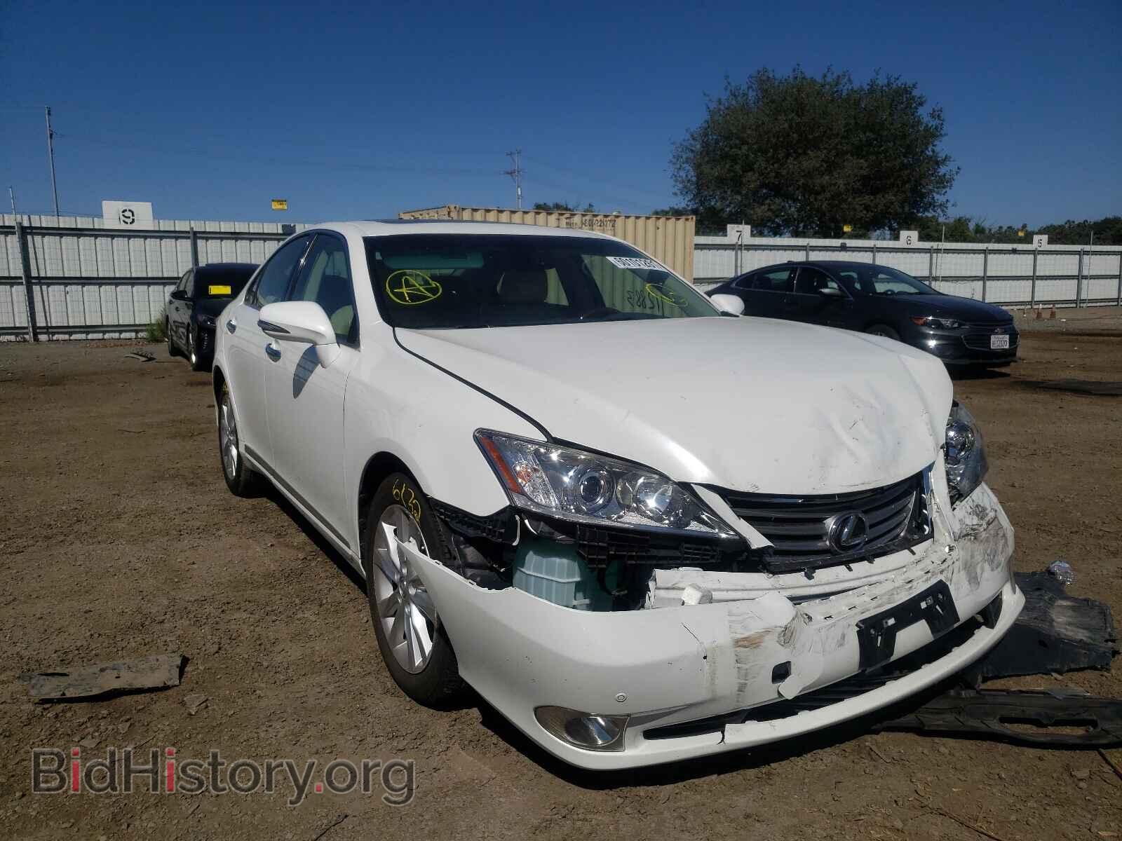 Фотография JTHBK1EG2B2439365 - LEXUS ES350 2011