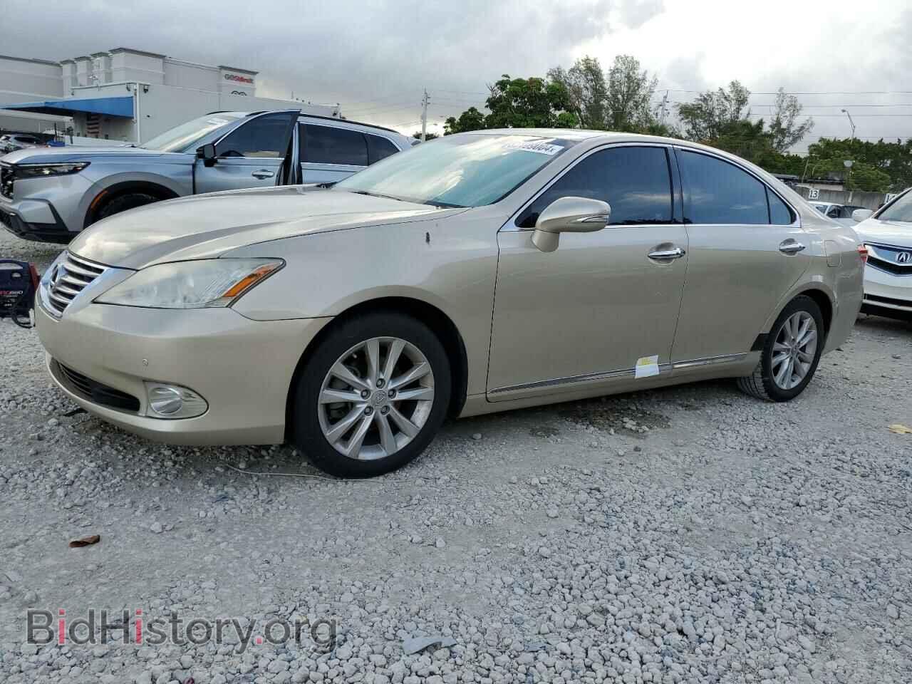 Фотография JTHBK1EG1B2454875 - LEXUS ES350 2011