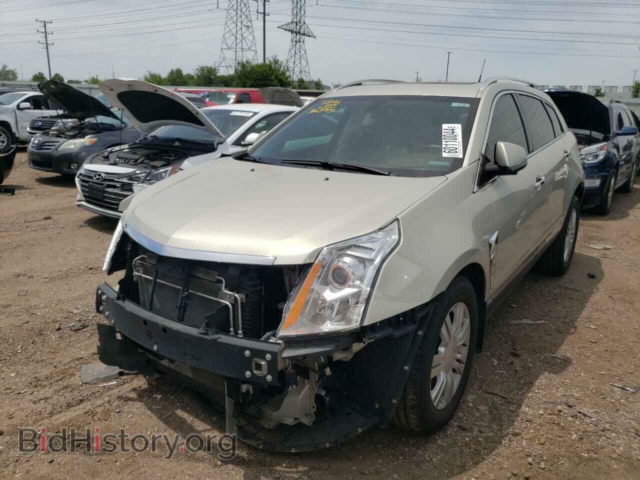 Фотография 3GYFNCE35DS563201 - CADILLAC SRX 2013