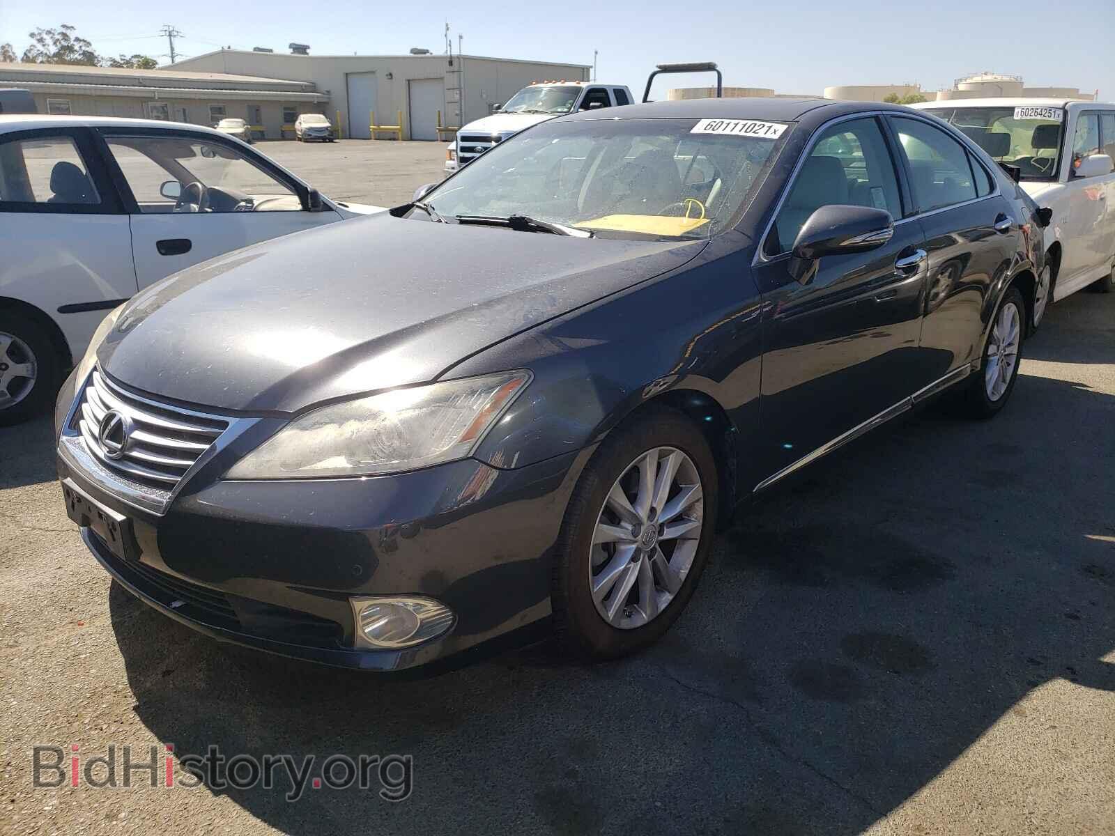 2010 LEXUS ES350 - VIN: JTHBK1EG3A2395360 - Фото 2