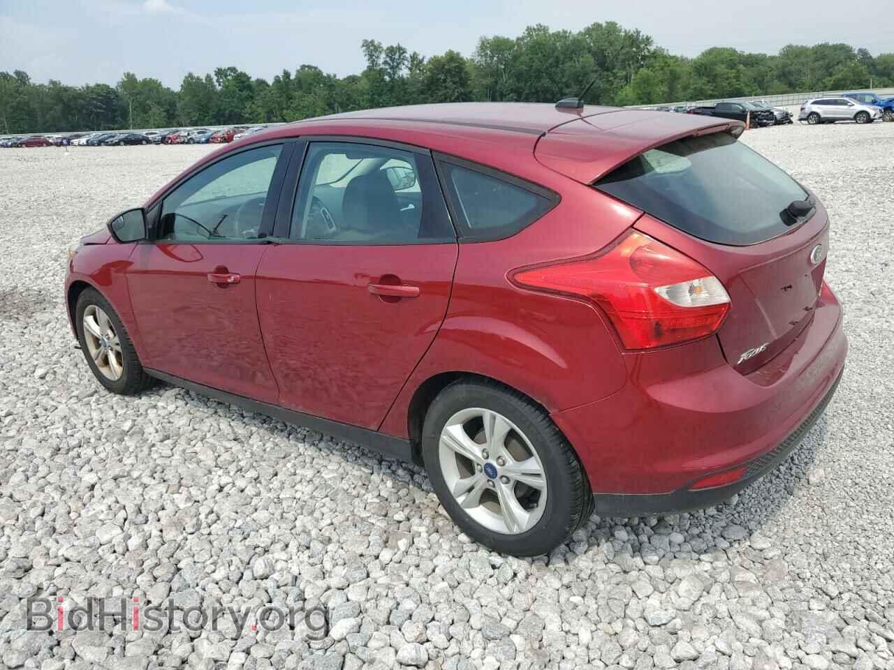 2013 FORD FOCUS - VIN: 1FADP3K20DL162394 - Фото 2