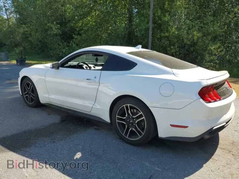 2020 Ford ALL MODELS (VIN 1FA6P8TH6L5188493) — фото 2 из 15