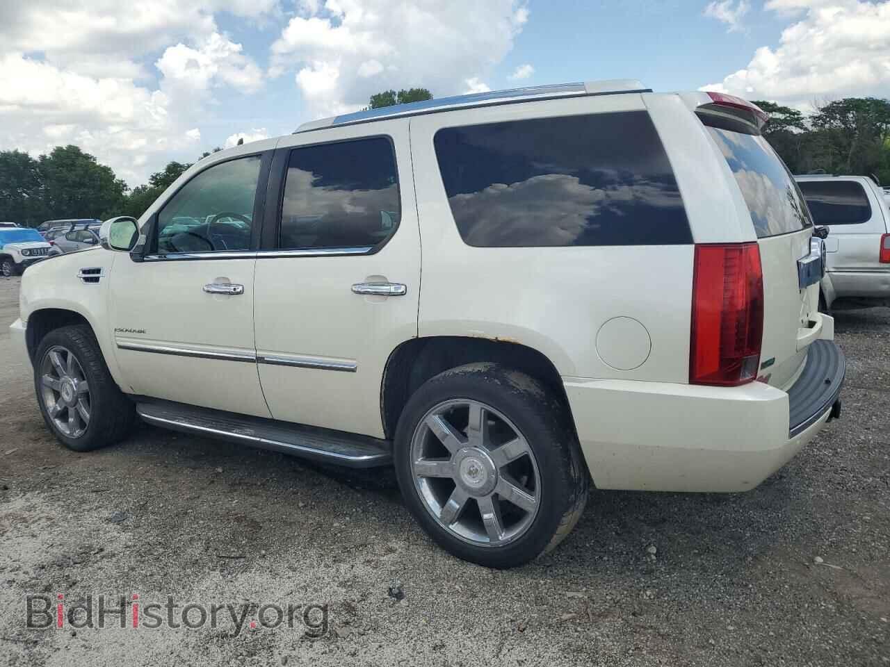 2010 CADILLAC ESCALADE - VIN: 1GYUKBEF1AR133961 - Фото 2
