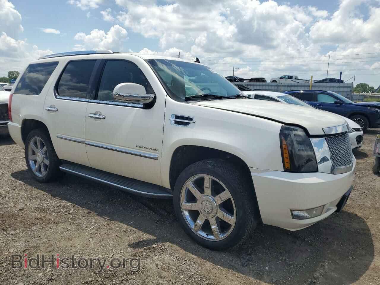 2010 CADILLAC ESCALADE - VIN: 1GYUKBEF1AR133961 - Фото 4