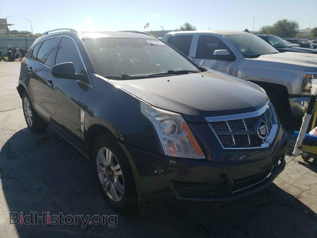 Фотография 3GYFNAEYXBS538842 - CADILLAC SRX 2011