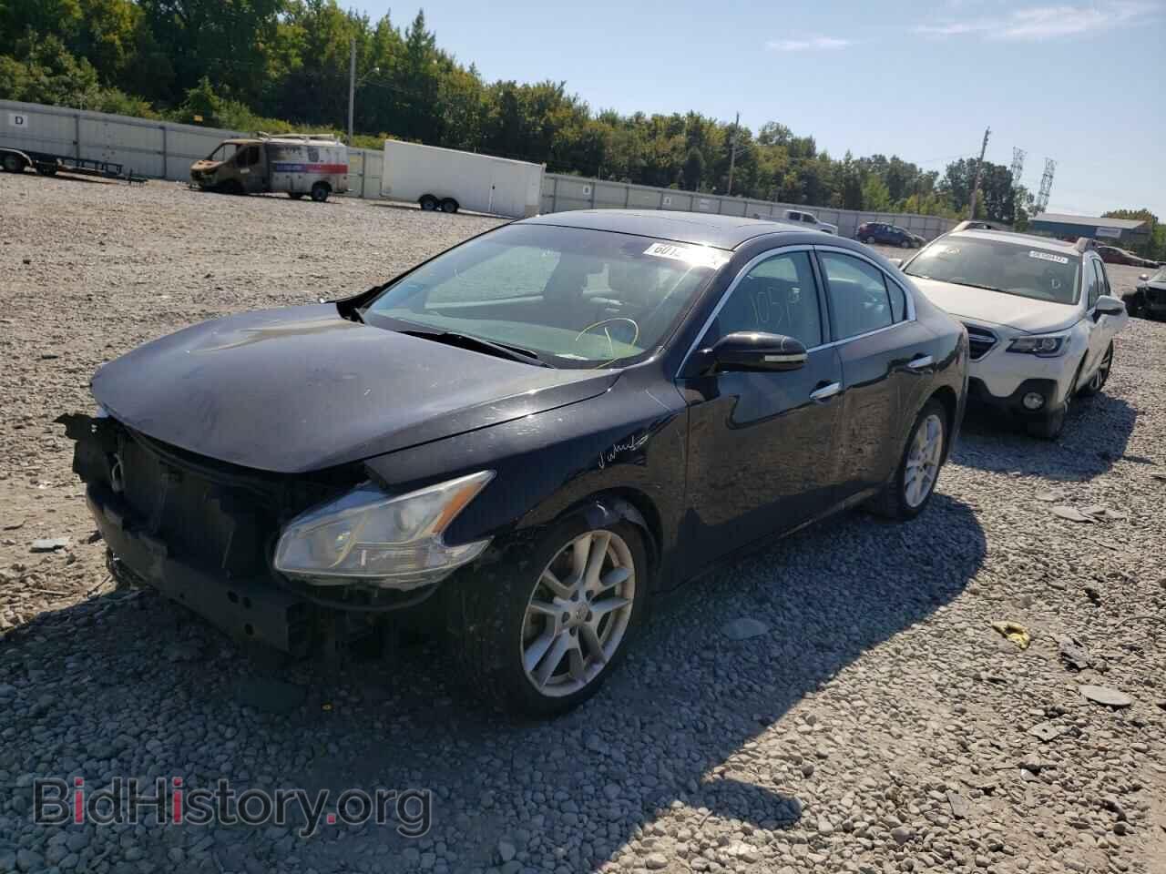 2010 NISSAN MAXIMA - VIN: 1N4AA5AP1AC842572 - Фото 2