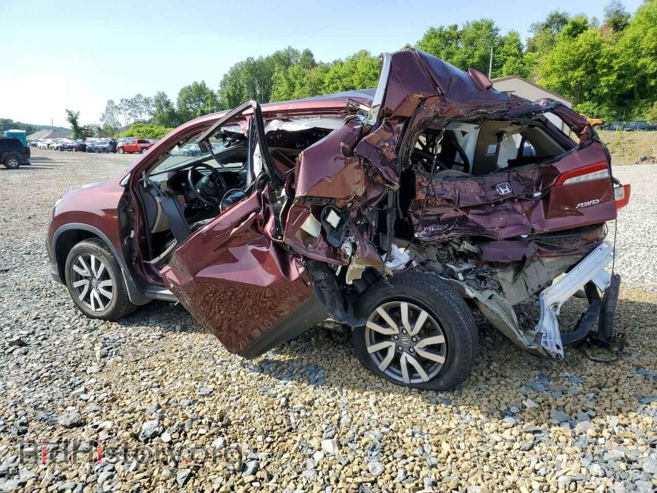 2021 HONDA PILOT - VIN: 5FNYF6H57MB024081 - Фото 2