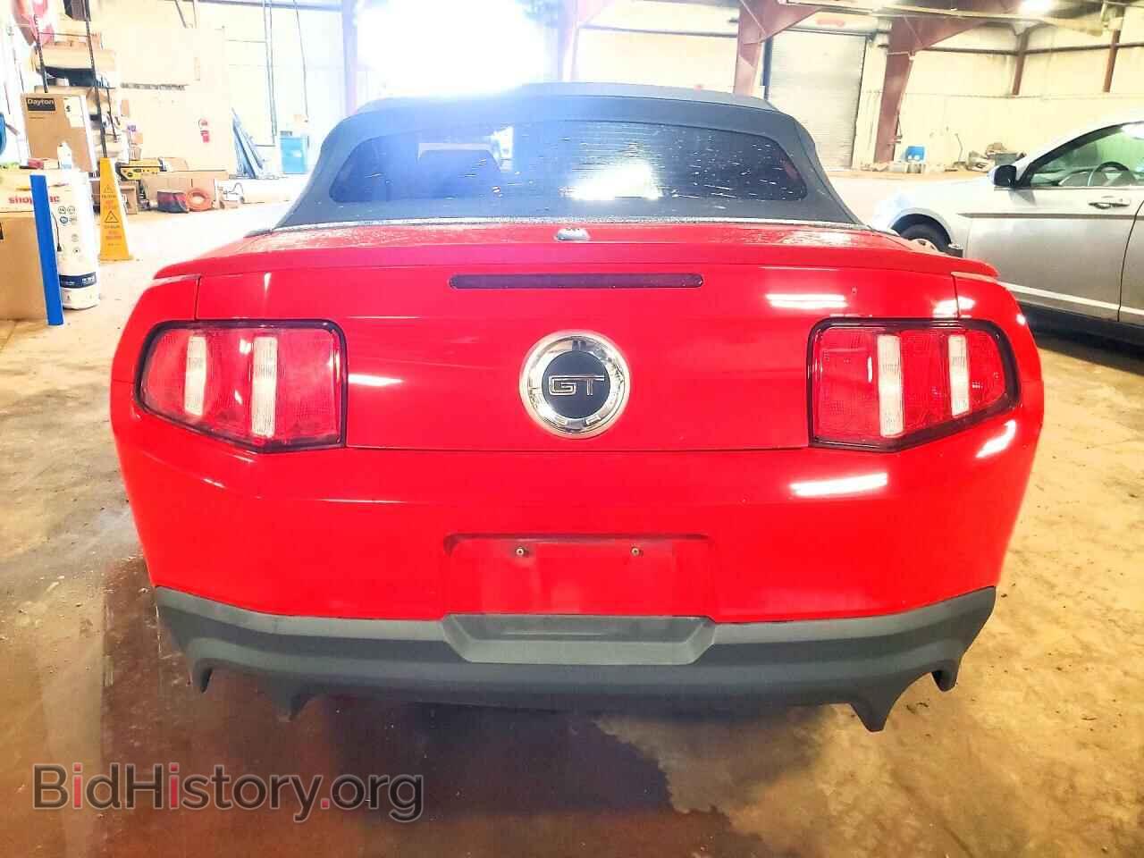2011 FORD MUSTANG - VIN: 1ZVBP8FF6B5117048 - Photo 6