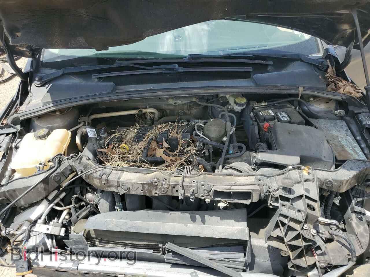 2015 FORD FOCUS - VIN: 1FADP3E20FL200401 - Фото 11
