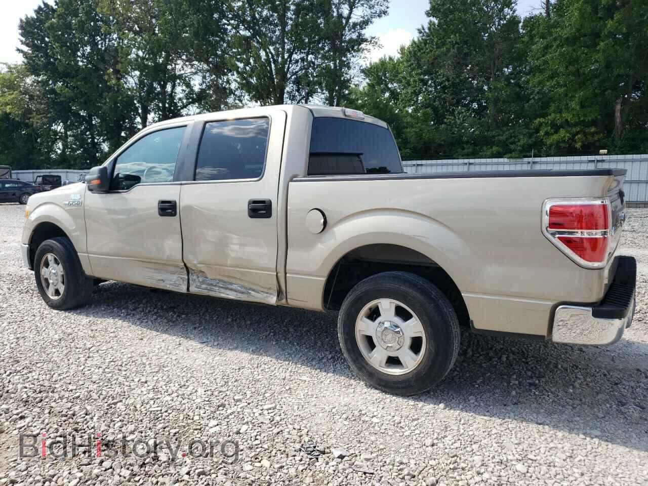2010 FORD F-150 - VIN: 1FTEW1C85AKE64709 - Фото 2