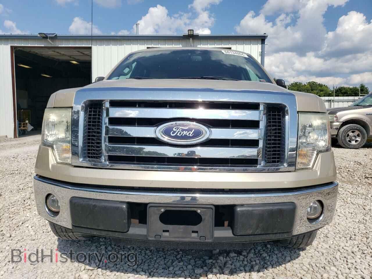 2010 FORD F-150 - VIN: 1FTEW1C85AKE64709 - Фото 5