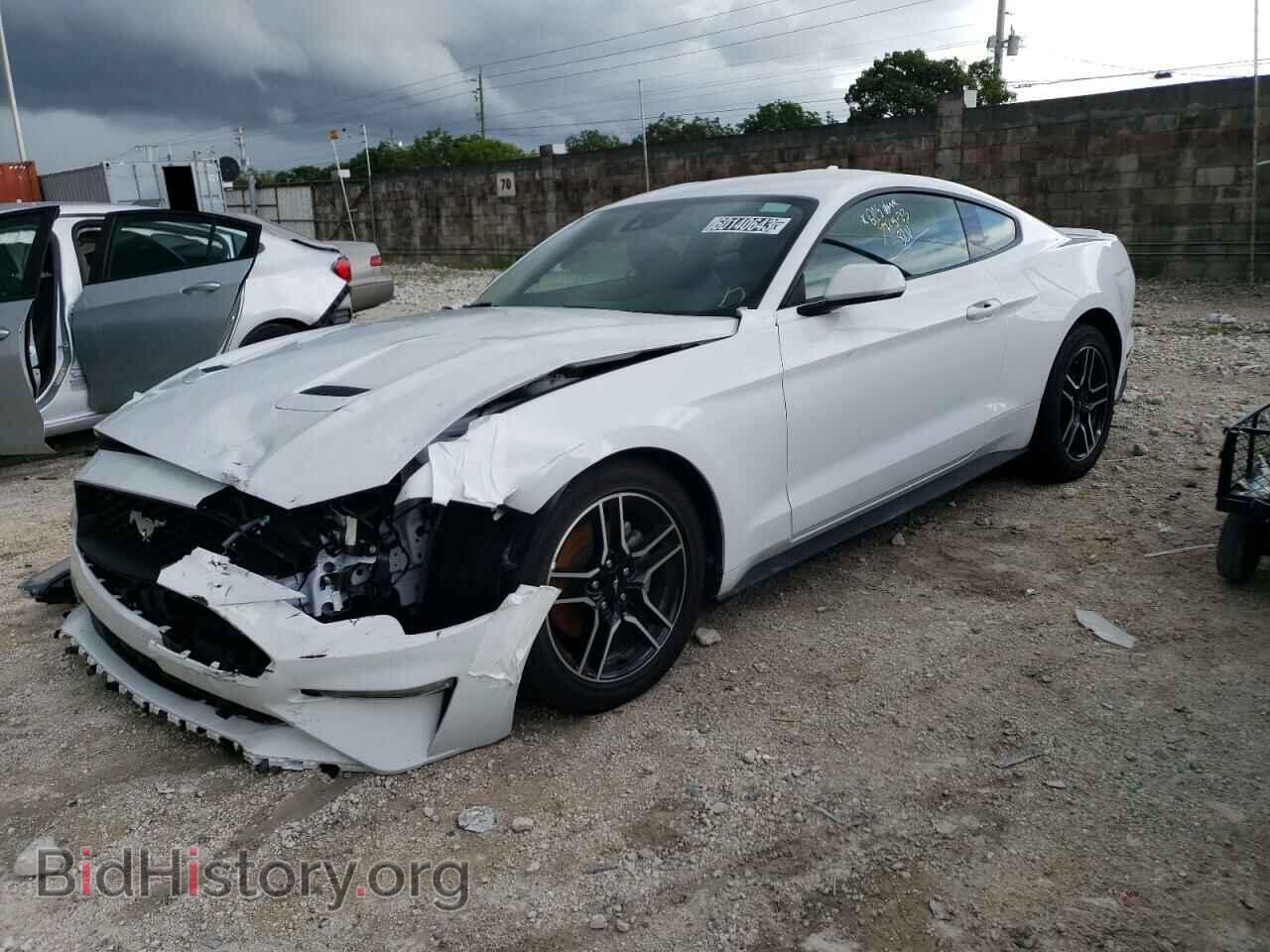 Фотография 1FA6P8TH3P5109108 - FORD ALL Models 2023