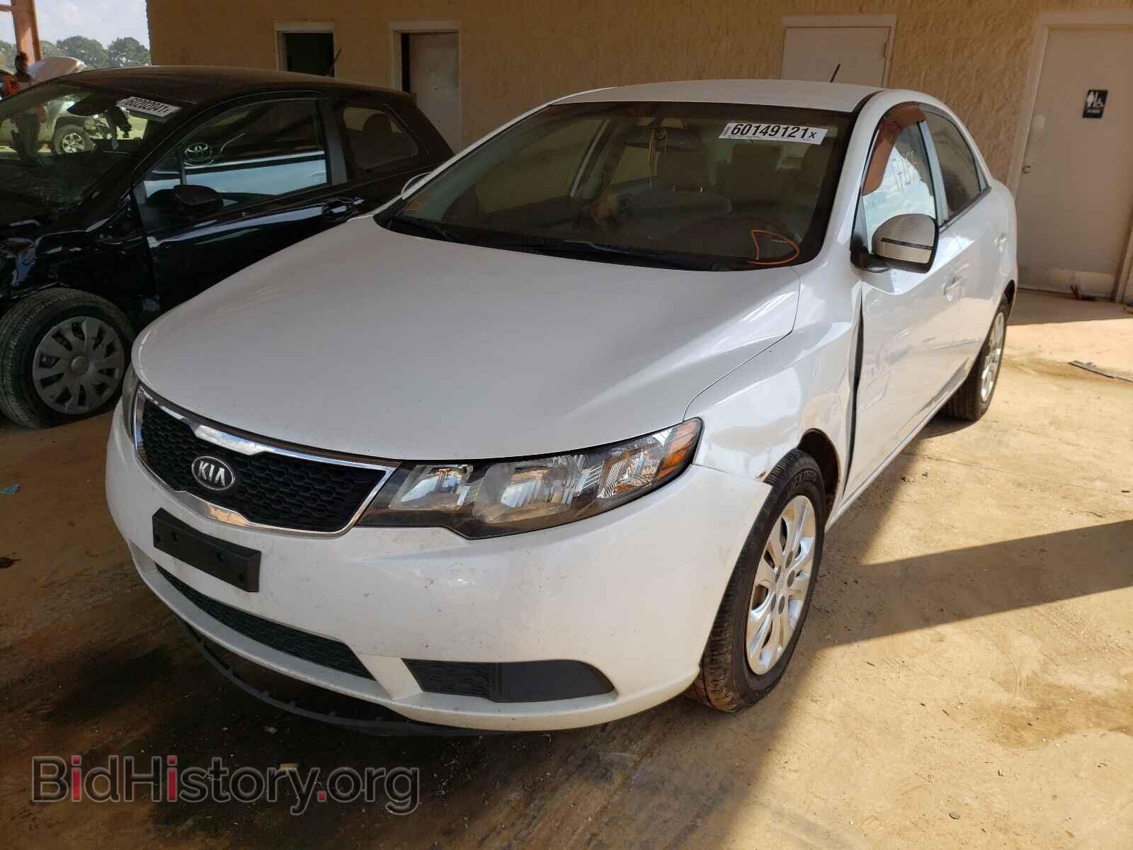 2012 KIA FORTE - VIN: KNAFU4A24C5606914 - Фото 2