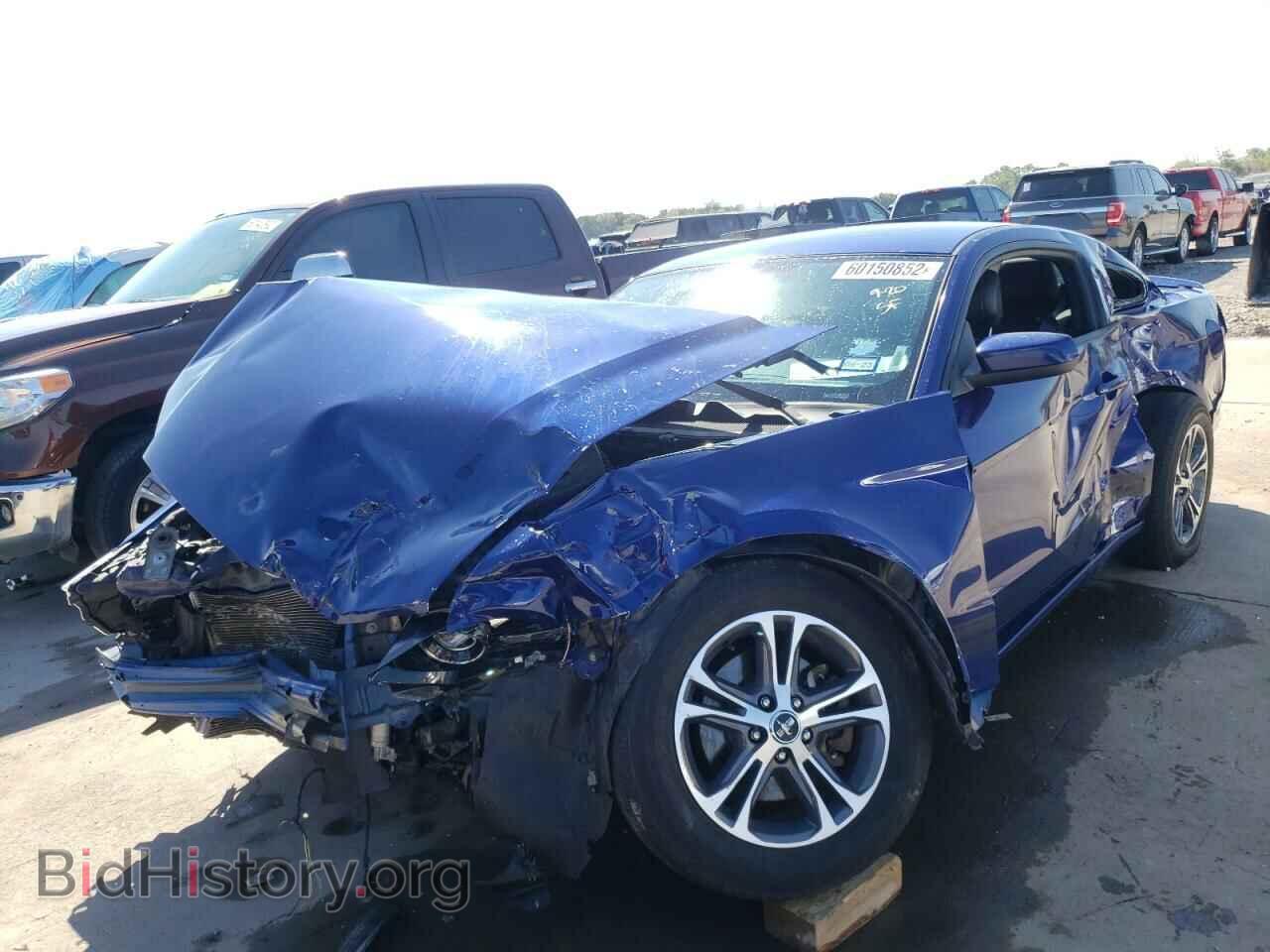 2014 FORD MUSTANG - VIN: 1ZVBP8AM0E5245280 - Фото 2