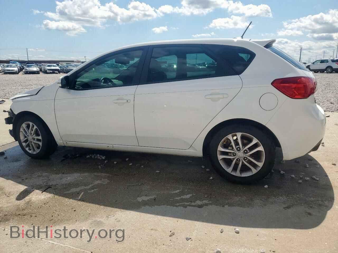 2012 KIA FORTE - VIN: KNAFU5A29C5503820 - Фото 2