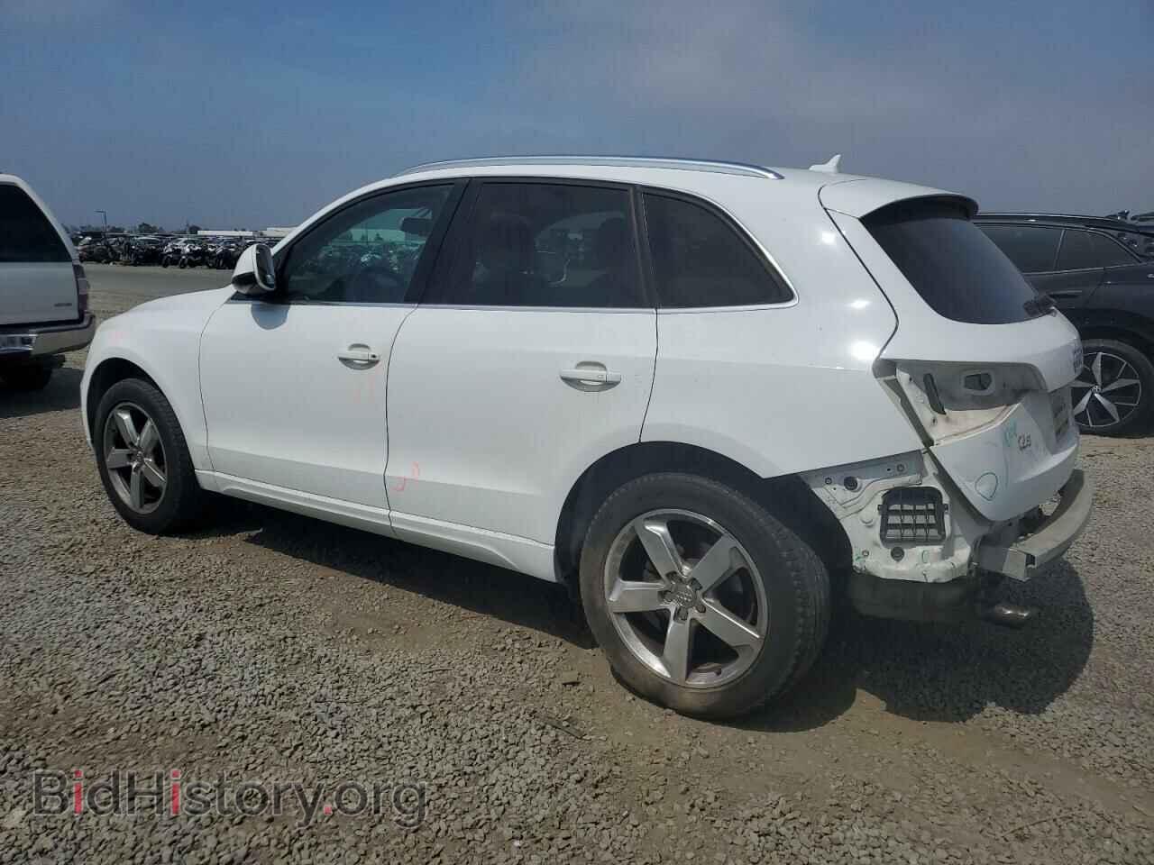 2011 AUDI Q5 - VIN: WA1LFAFP3BA044376 - Фото 2