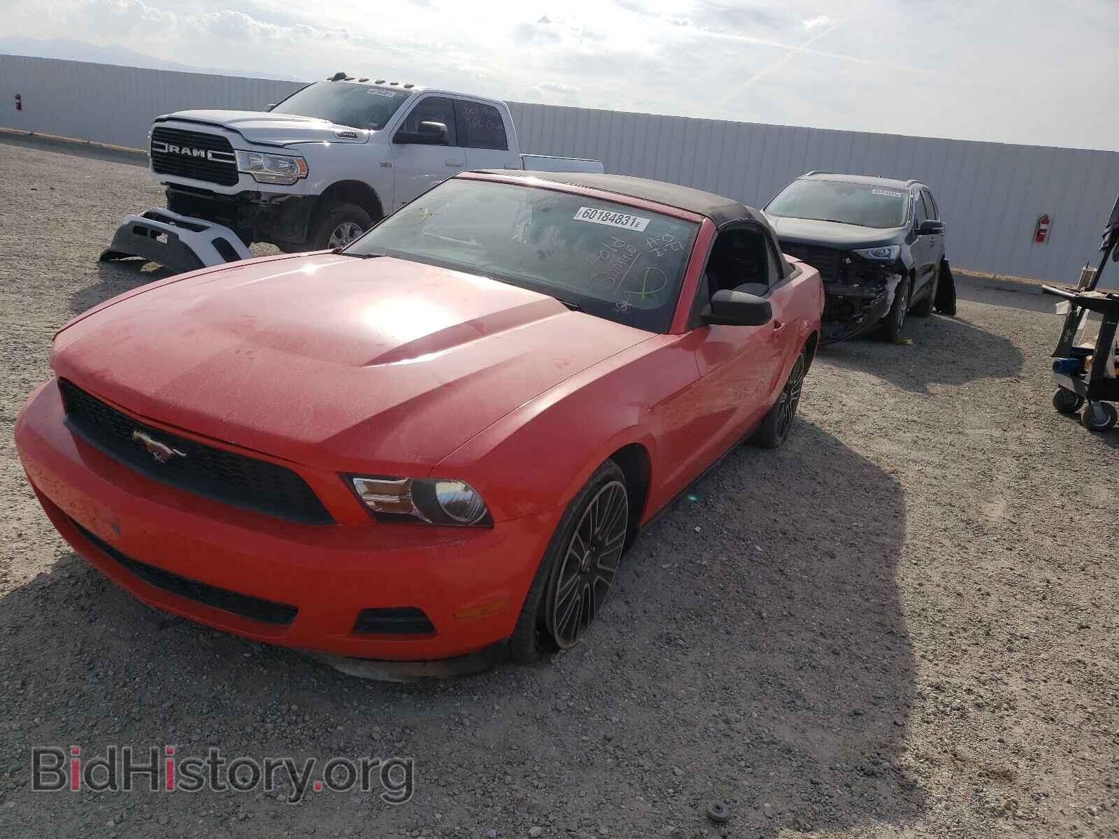 2012 FORD MUSTANG - VIN: 1ZVBP8EMXC5241261 - Фото 2