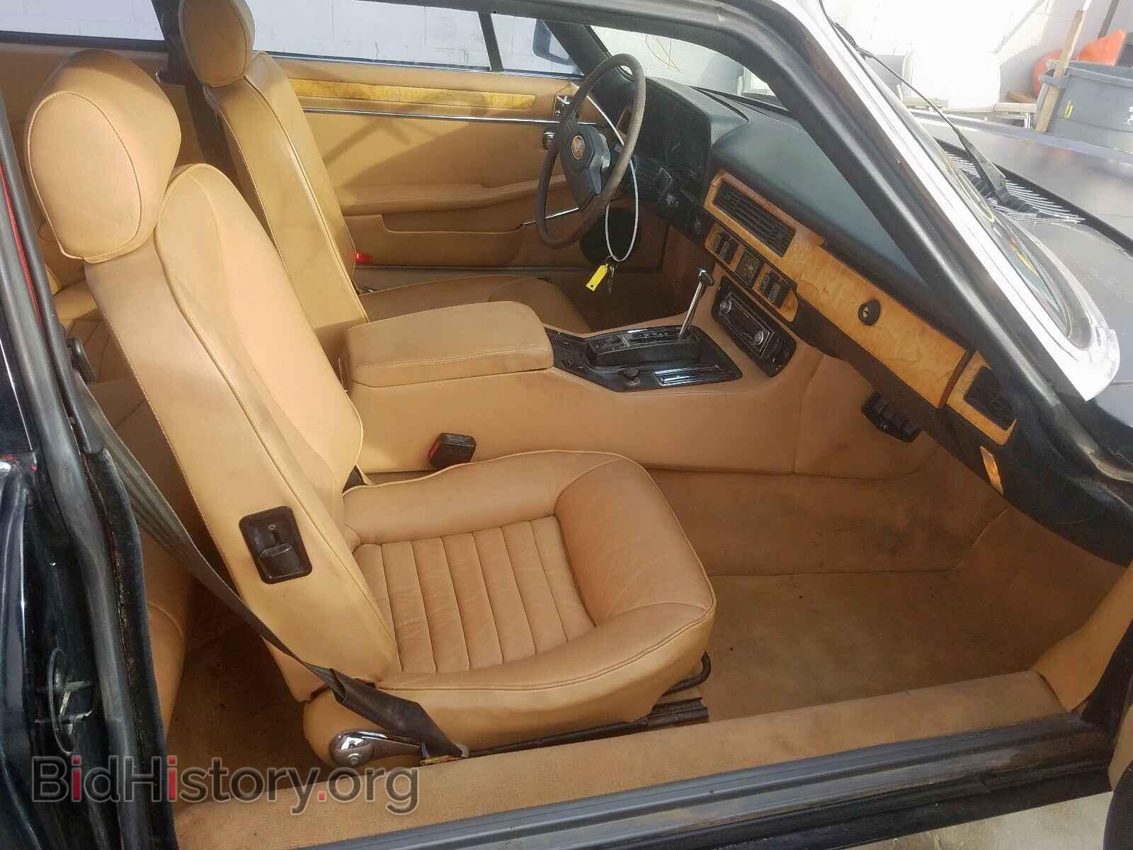 1982 JAGUAR XJS - VIN: SAJNV5845CC107383 - Фото 5