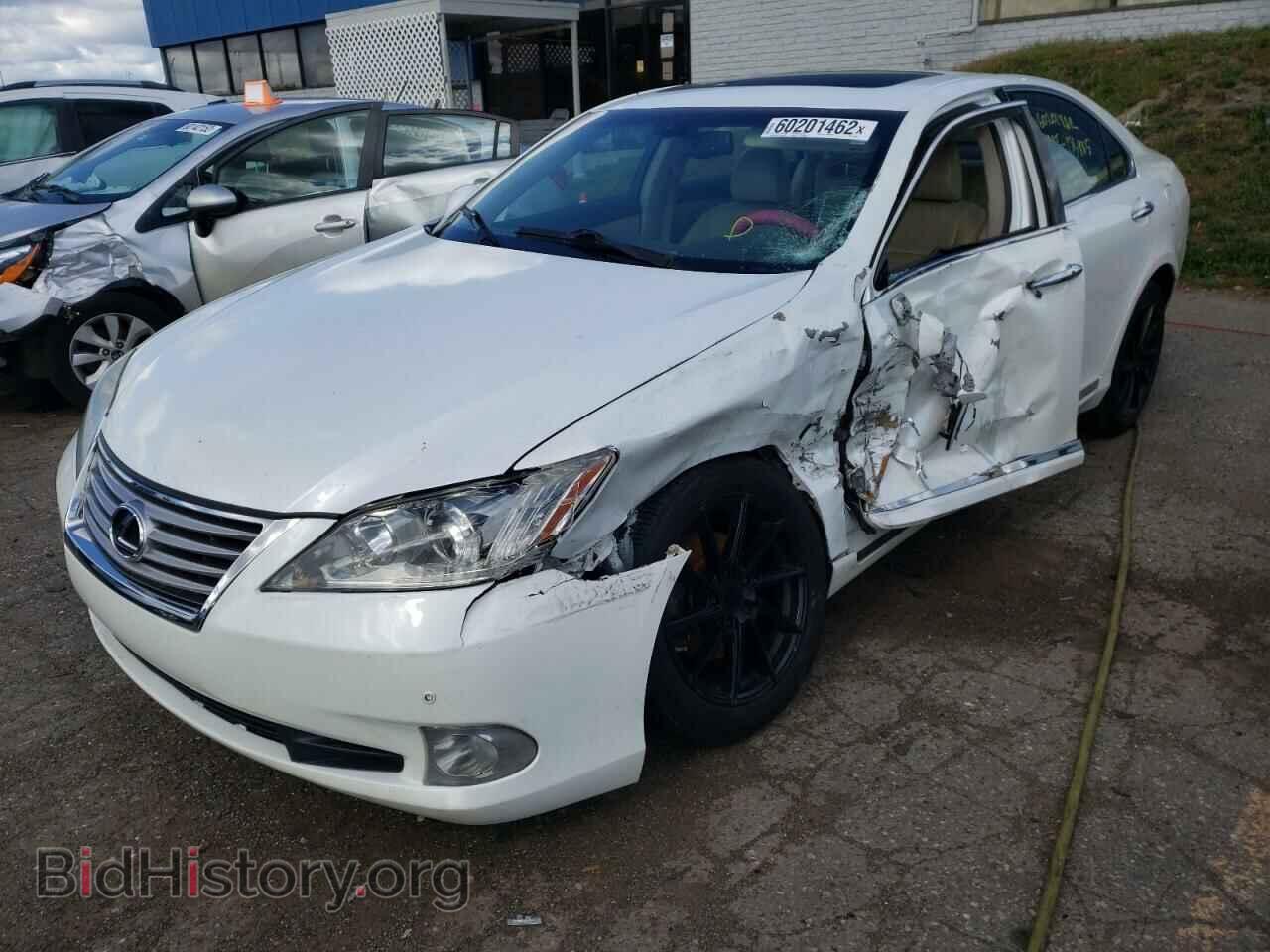 2011 LEXUS ES350 - VIN: JTHBK1EG8B2454890 - Фото 2