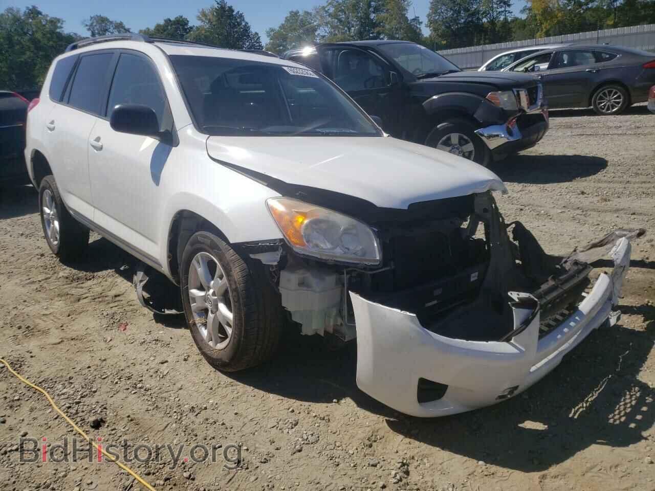 Фотография 2T3BF4DV3BW092515 - TOYOTA RAV4 2011