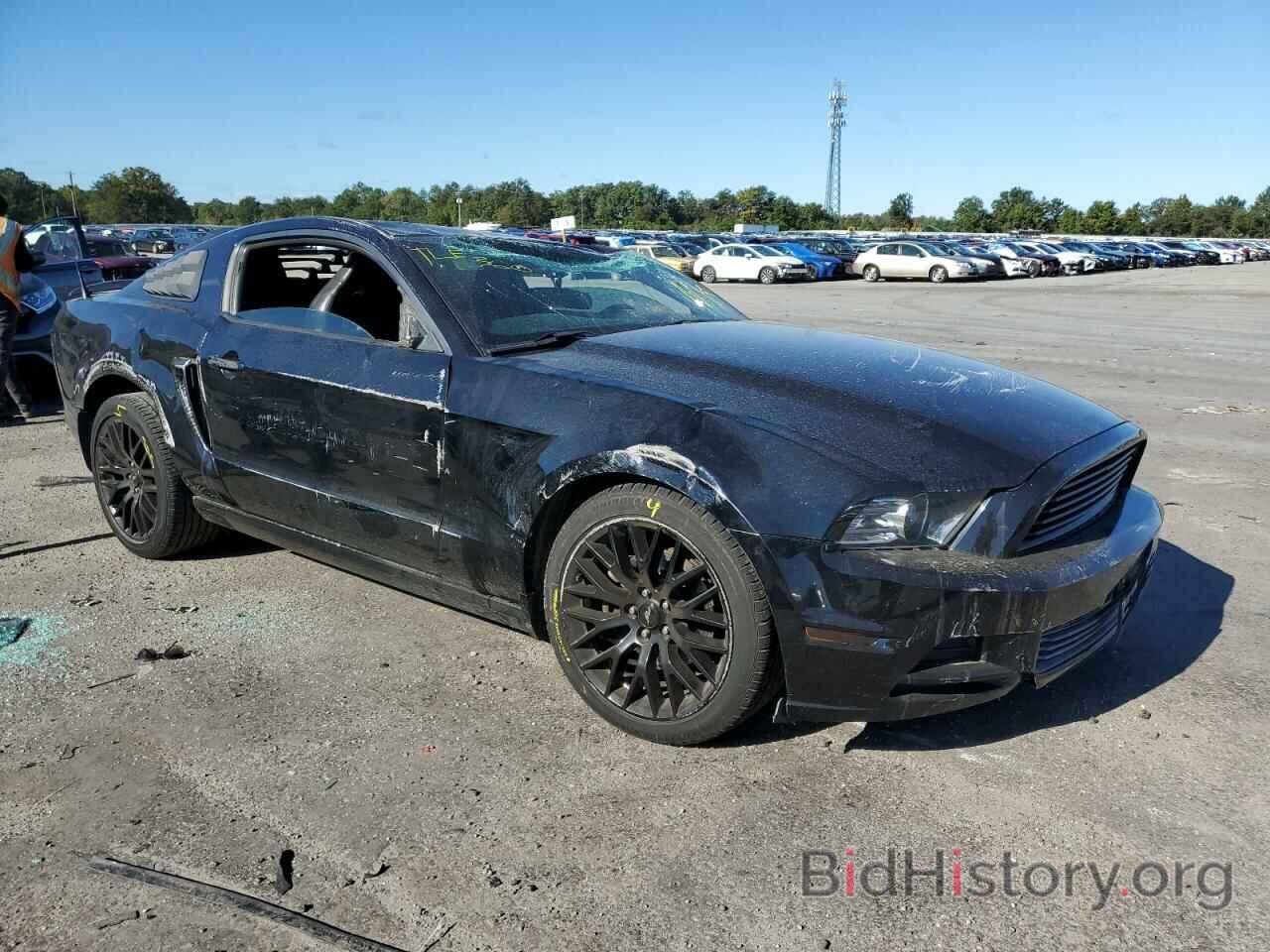 Photo 1ZVBP8AM1D5223528 - FORD MUSTANG 2013