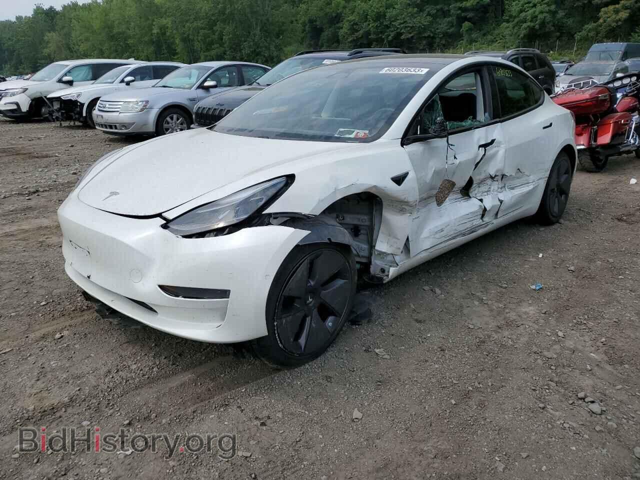 Photo 5YJ3E1EA8MF923498 - TESLA MODEL 3 2021