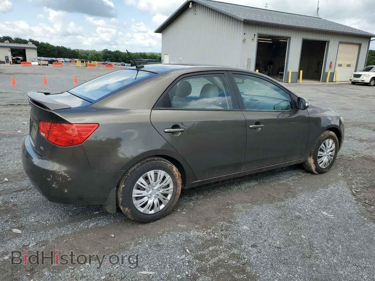 2010 KIA FORTE - VIN: KNAFU4A24A5173138 - Фото 3