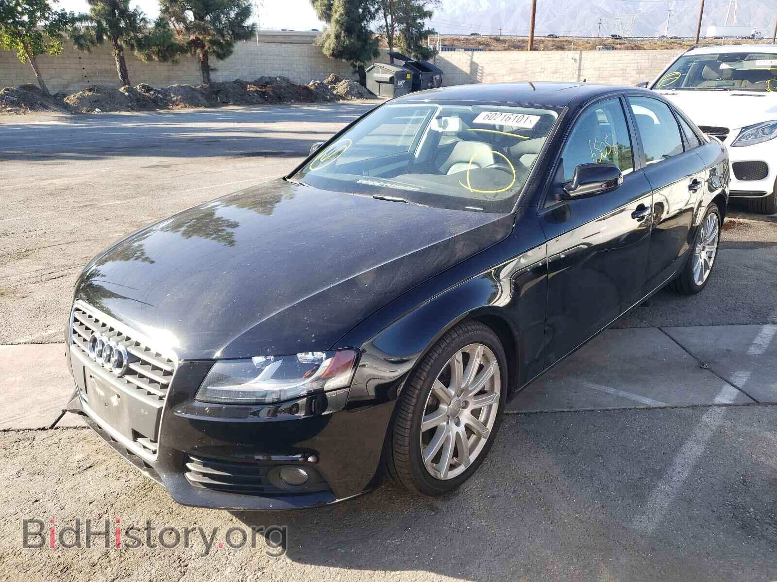 2011 AUDI A4 - VIN: WAUAFAFL2BN053800 - Фото 2