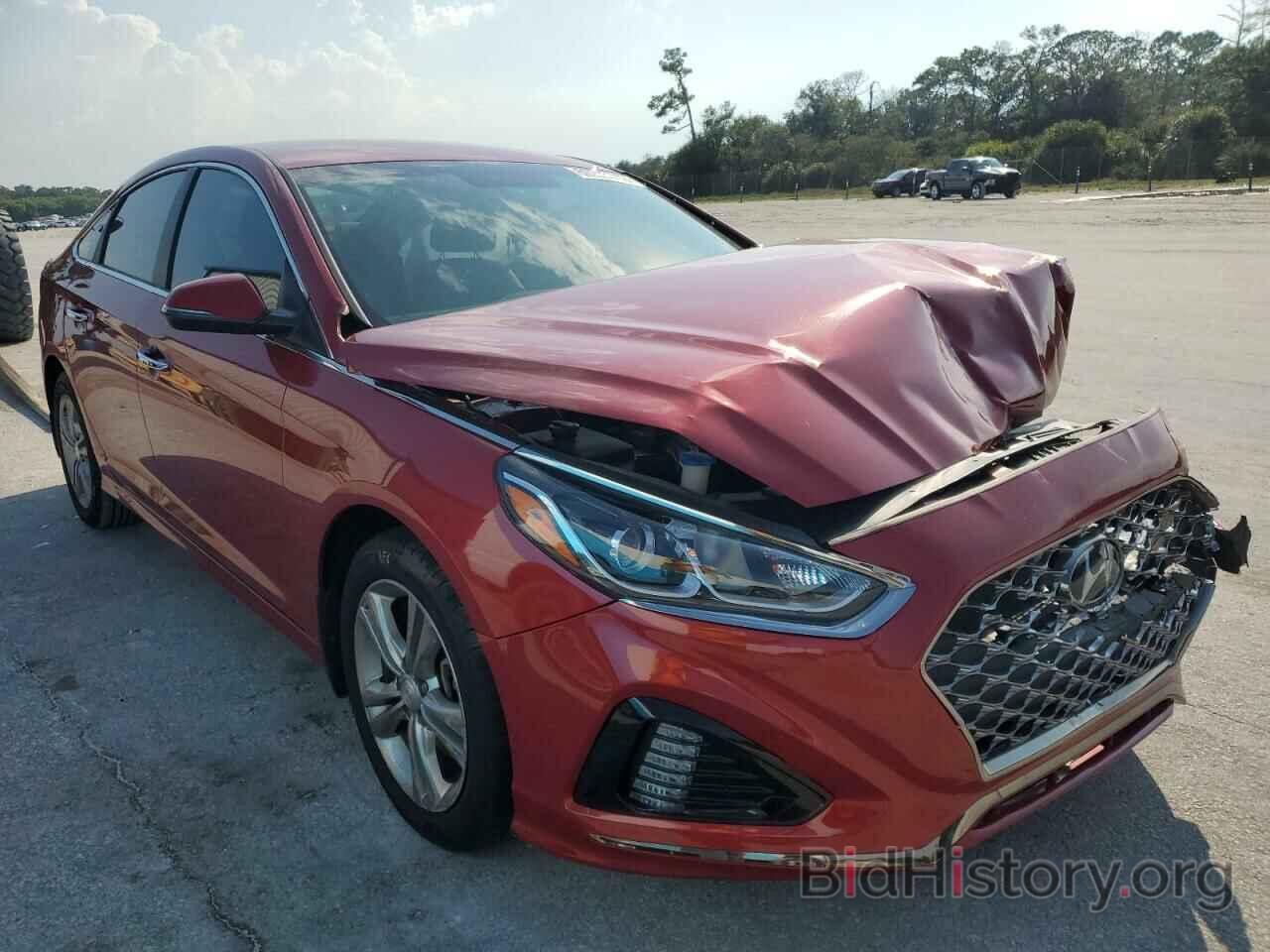 Photo 5NPE34AF7KH770581 - HYUNDAI SONATA 2019