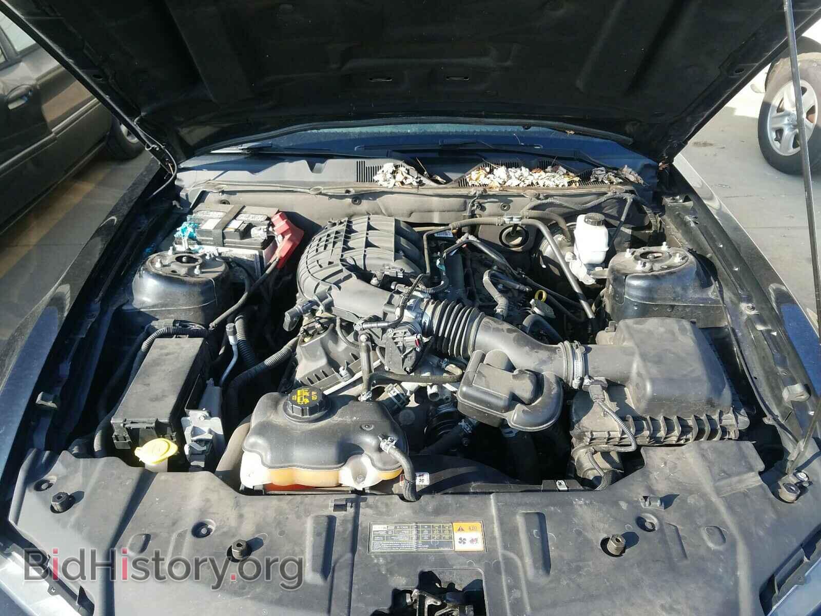 2014 FORD MUSTANG - VIN: 1ZVBP8AM7E5294265 - Фото 7