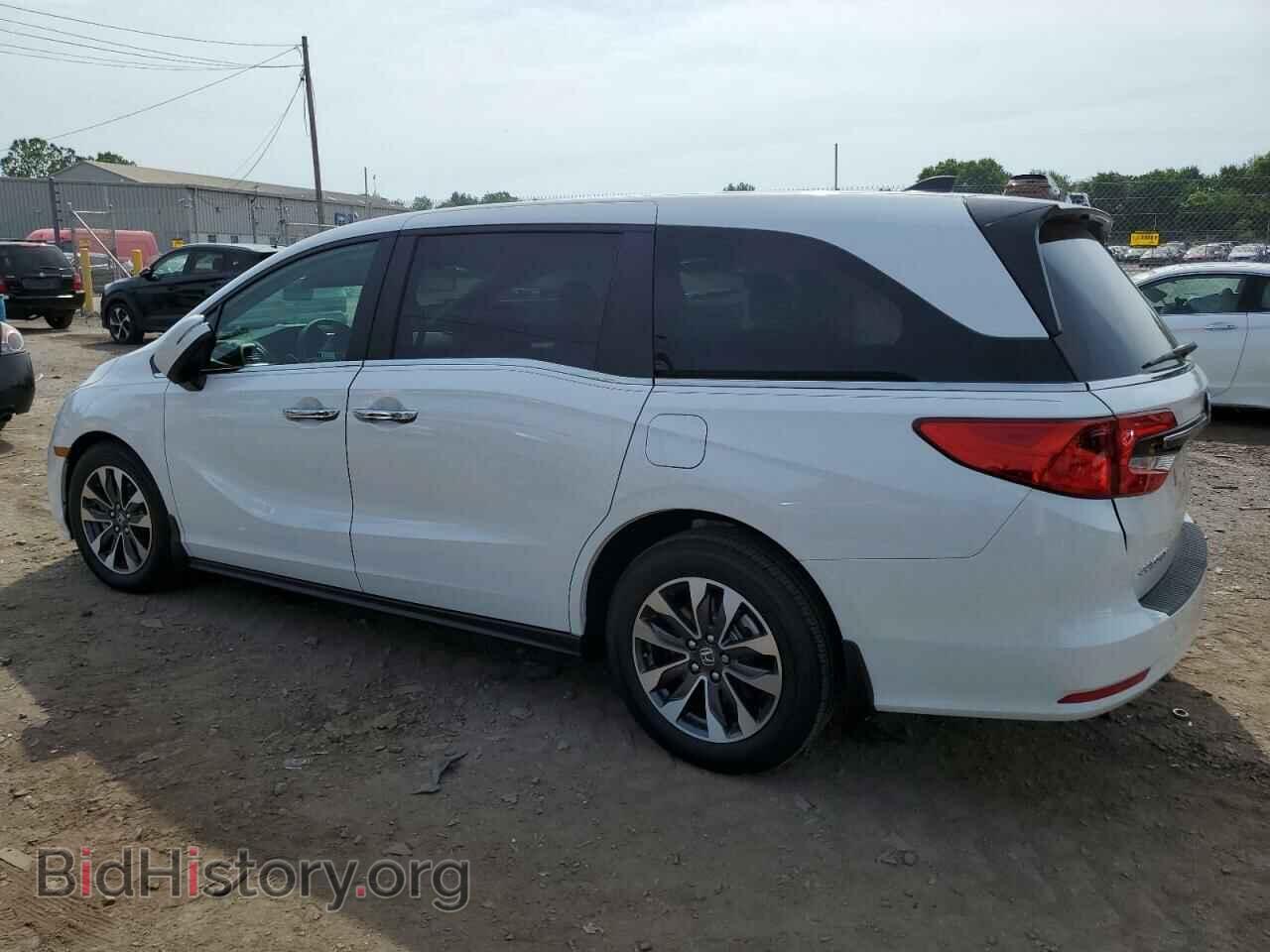 2024 HONDA All Models - VIN: 5FNRL6H63RB059276 - Фото 2