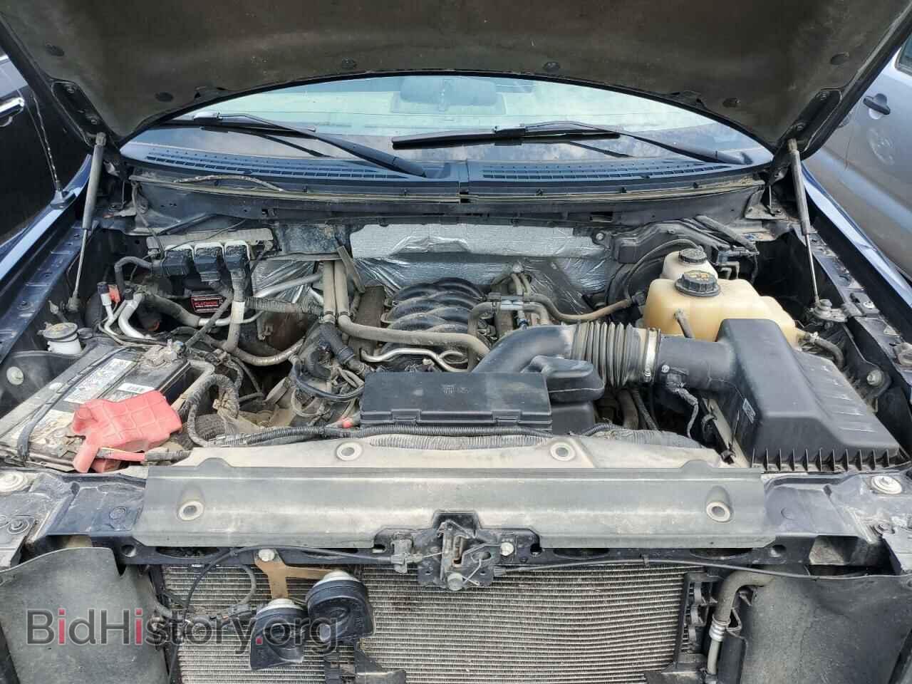 2013 FORD F-150 - VIN: 1FTFX1EF1DFA82929 - Фото 11